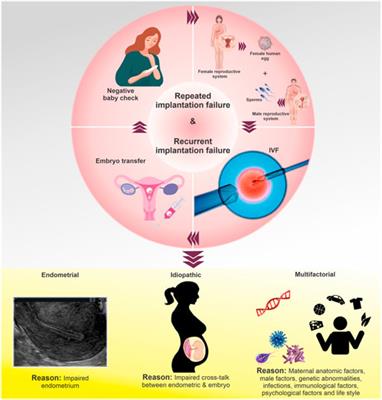 Role of endometrial microRNAs in repeated implantation failure (mini-review)